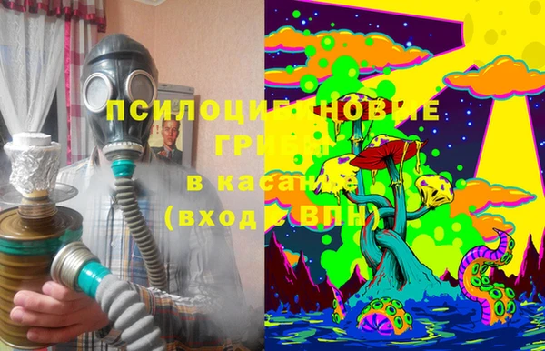 метадон Сафоново
