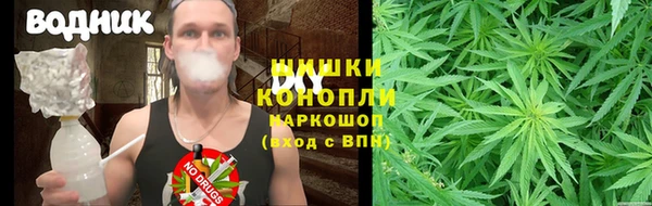 крисы Арсеньев